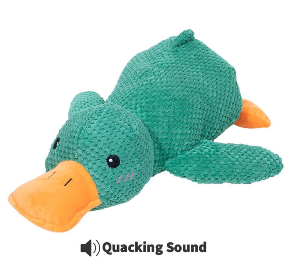 Jouet canard calmant par PLEXUS